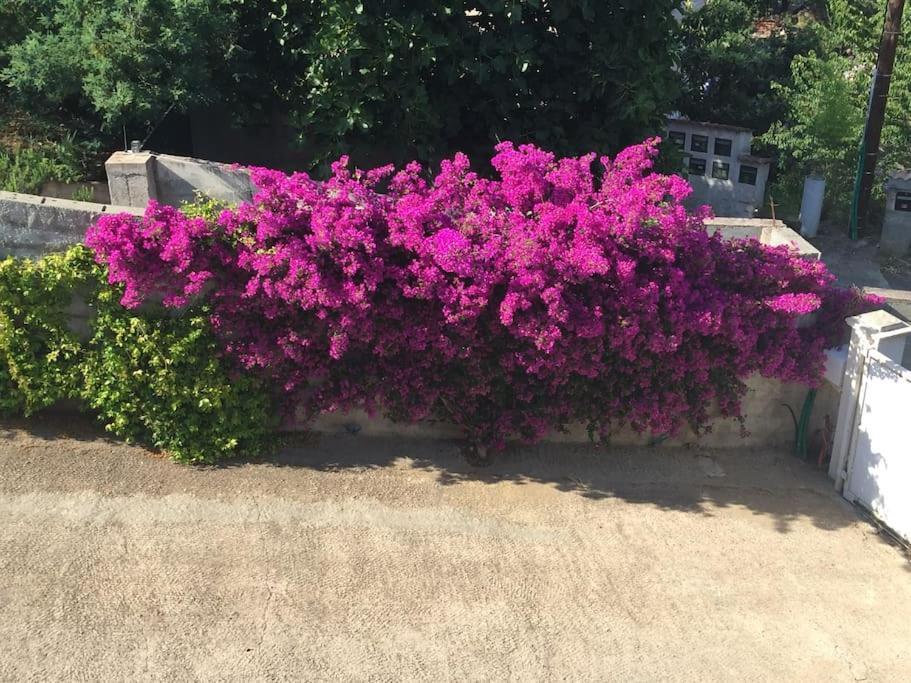 Apartmán Casa Azzura Bastia  Exteriér fotografie